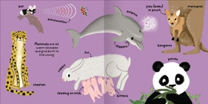 big words for little experts - animals - Ảnh 4