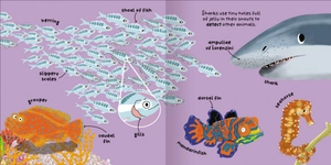 big words for little experts - animals - Ảnh 7