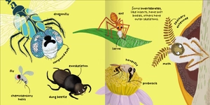 big words for little experts - animals - Ảnh 8