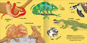 big words for little experts - animals - Ảnh 9