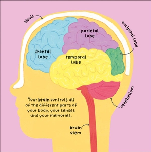 big words for little experts - body - Ảnh 3