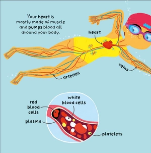 big words for little experts - body - Ảnh 5