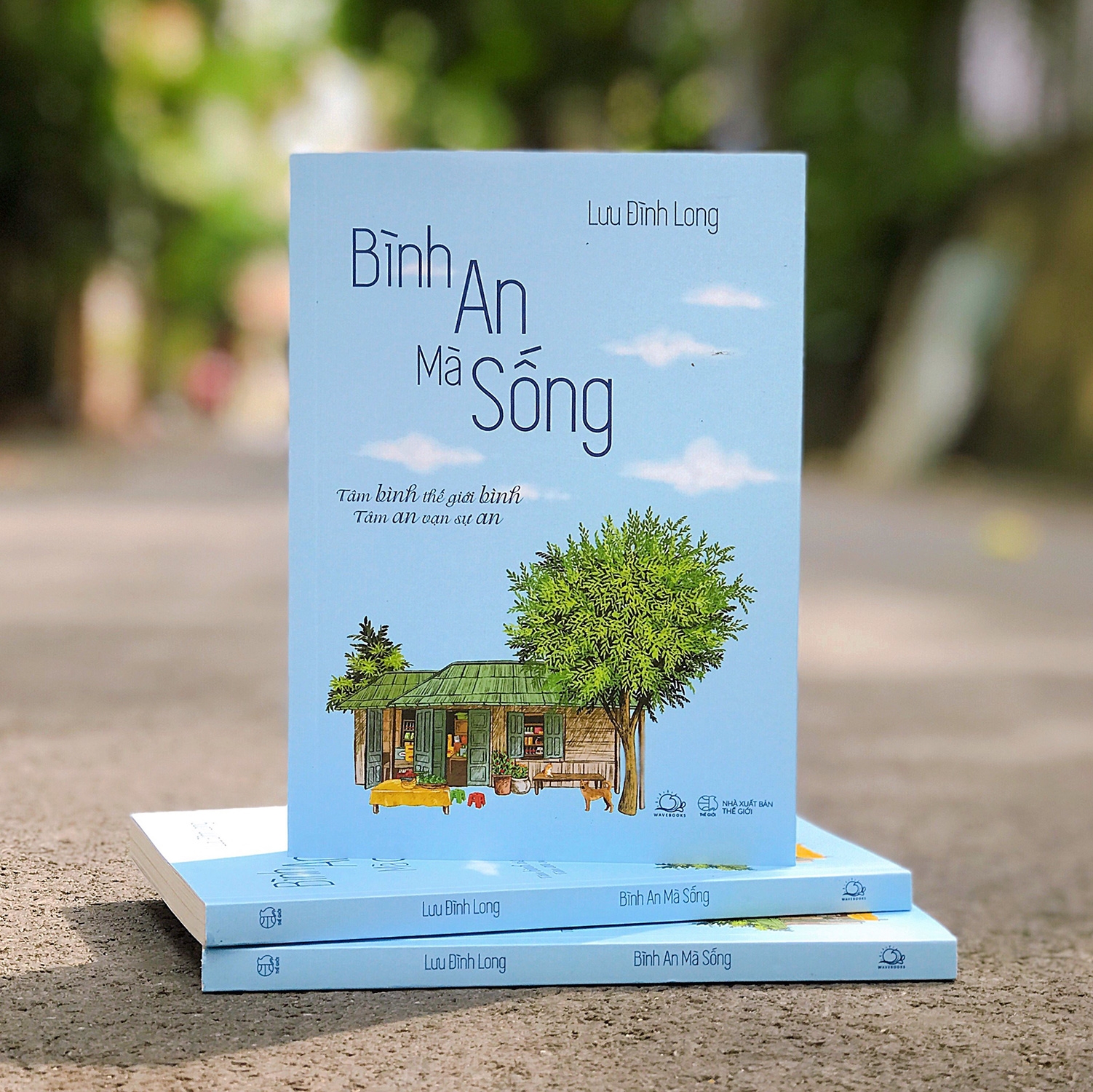bình an mà sống - Ảnh 5