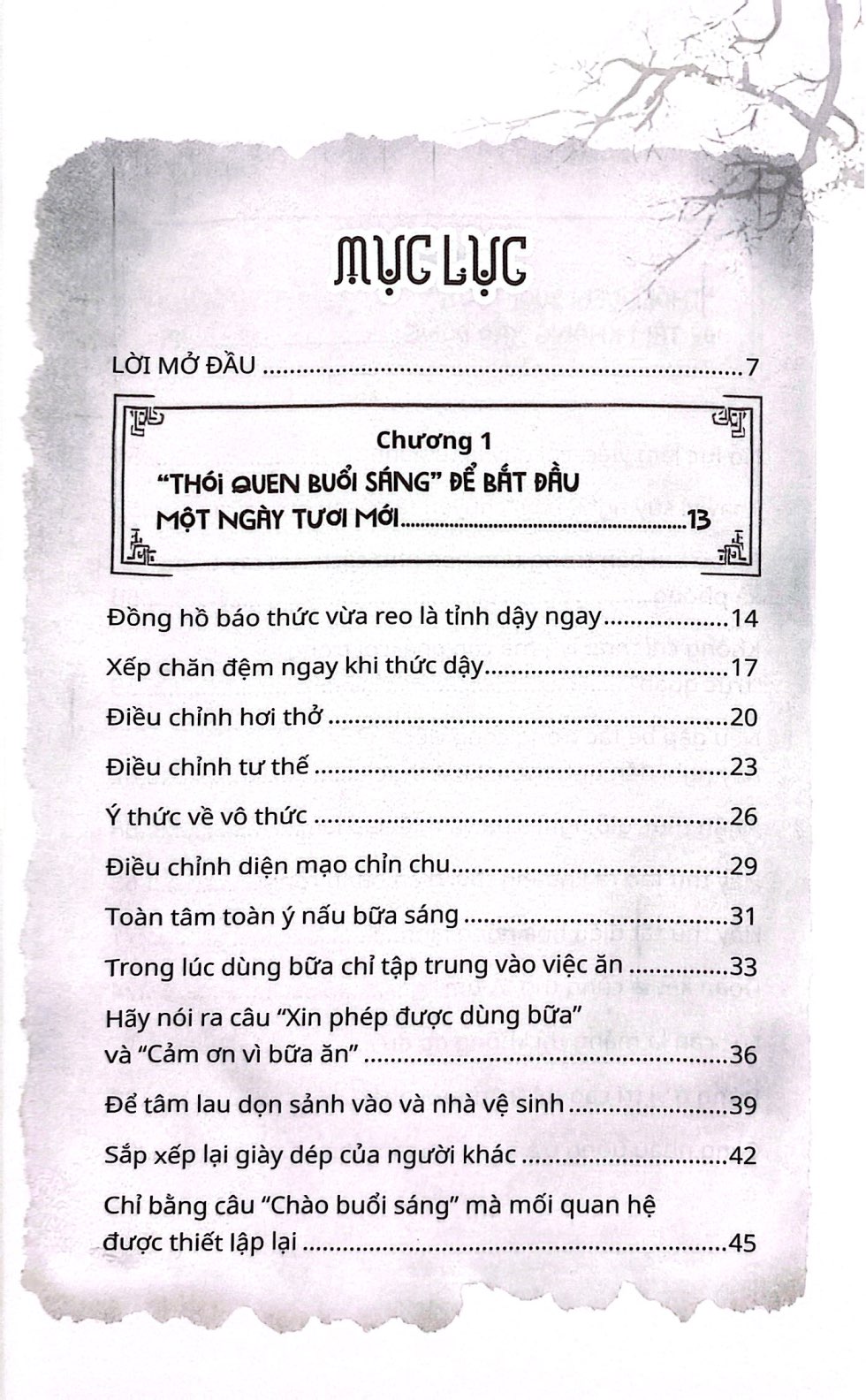 Binh Tam Ca Ngay Dai - 45 Thoi Quen An Nhien Cua Nha Phat - Ảnh 3