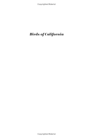 birds of california - Ảnh 3