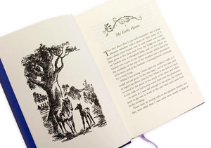 black beauty: puffin clothbound classics - Ảnh 3