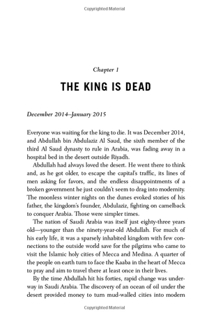 blood and oil: mohammed bin salman's ruthless quest for global power - Ảnh 13