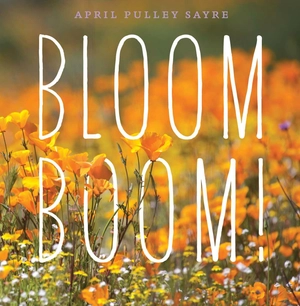 bloom boom! - Ảnh 2