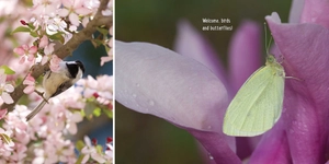 bloom boom! - Ảnh 5