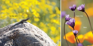 bloom boom! - Ảnh 6