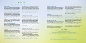 bloom boom! - Ảnh 8