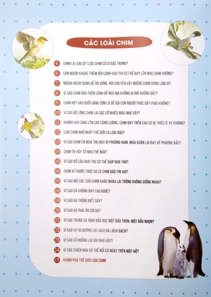 bộ 10 vạn câu hỏi vì sao - chim và động vật biển (tập 1) - Ảnh 3