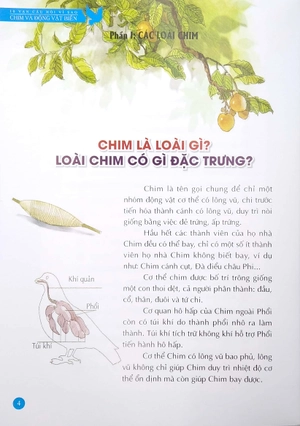 bộ 10 vạn câu hỏi vì sao - chim và động vật biển (tập 1) - Ảnh 4