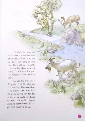 bộ 10 vạn câu hỏi vì sao - động vật có vú (tập 1) - Ảnh 5