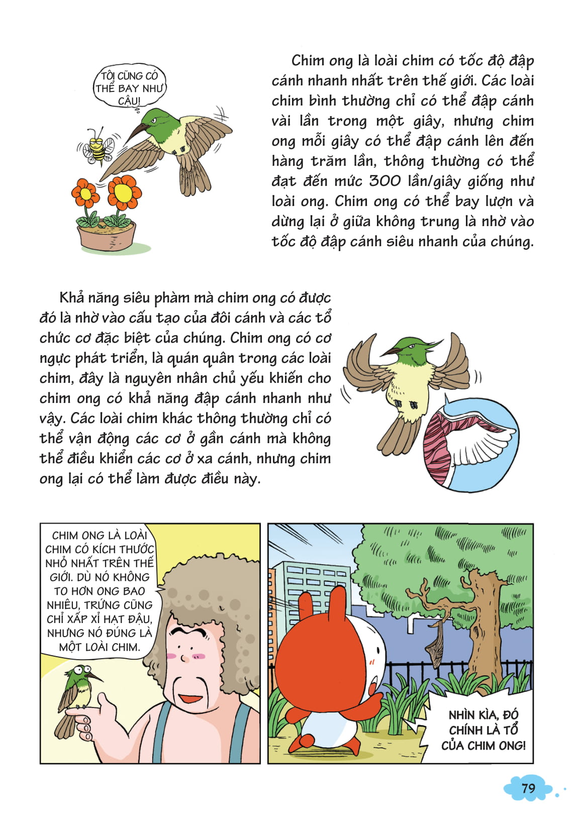 bộ 10 vạn câu hỏi vì sao - khám phá thế giới động vật - bay trên bầu trời 1 (tái bản 2018) - Ảnh 3