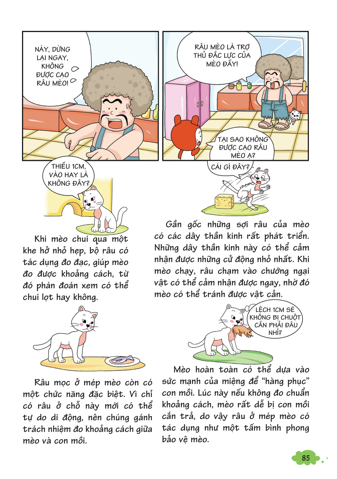 bộ 10 vạn câu hỏi vì sao - khám phá thế giới động vật - chạy trên mặt đất 2 (tái bản 2018) - Ảnh 7