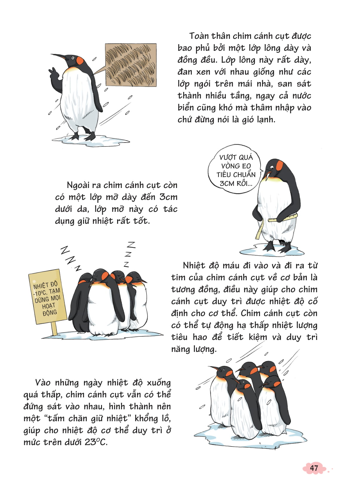 bộ 10 vạn câu hỏi vì sao - khoa học quanh ta 2 (tái bản 2018) - Ảnh 5