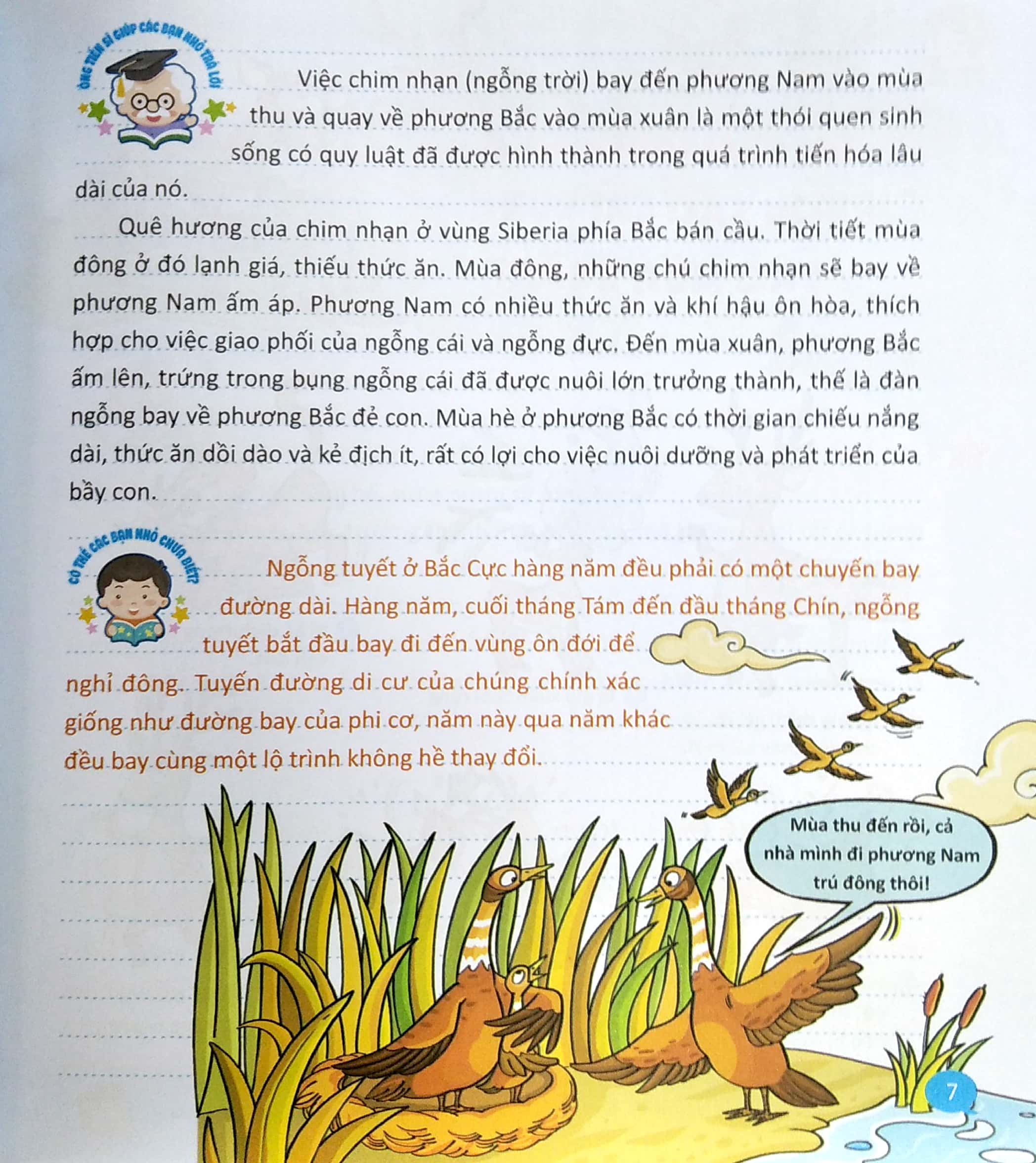 bộ 10 vạn câu hỏi vì sao - quyển 3: siêu nhí hỏi nhà khoa học trả lời (tái bản) - Ảnh 5