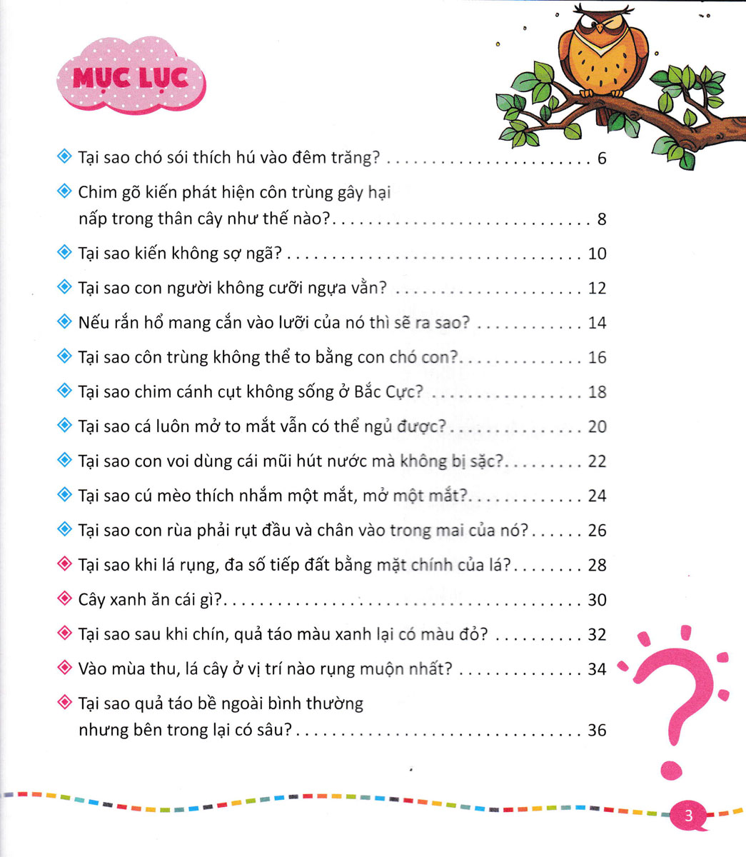 bộ 10 vạn câu hỏi vì sao - quyển 5: bách khoa tri thức thiếu nhi (tái bản) - Ảnh 4