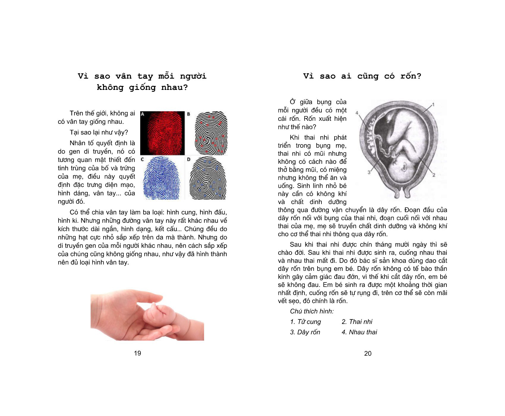 bộ 10 vạn câu hỏi vì sao - tập 1 (tái bản 2023) - Ảnh 11