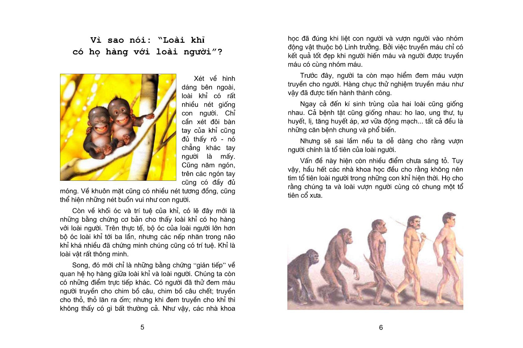 bộ 10 vạn câu hỏi vì sao - tập 1 (tái bản 2023) - Ảnh 4