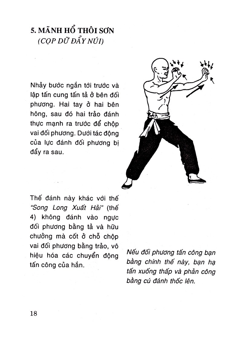 Bộ 108 Thế Chiến Đấu Thiếu Lâm Chân Truyền - Tập 1 (Tái Bản) - Ảnh 11