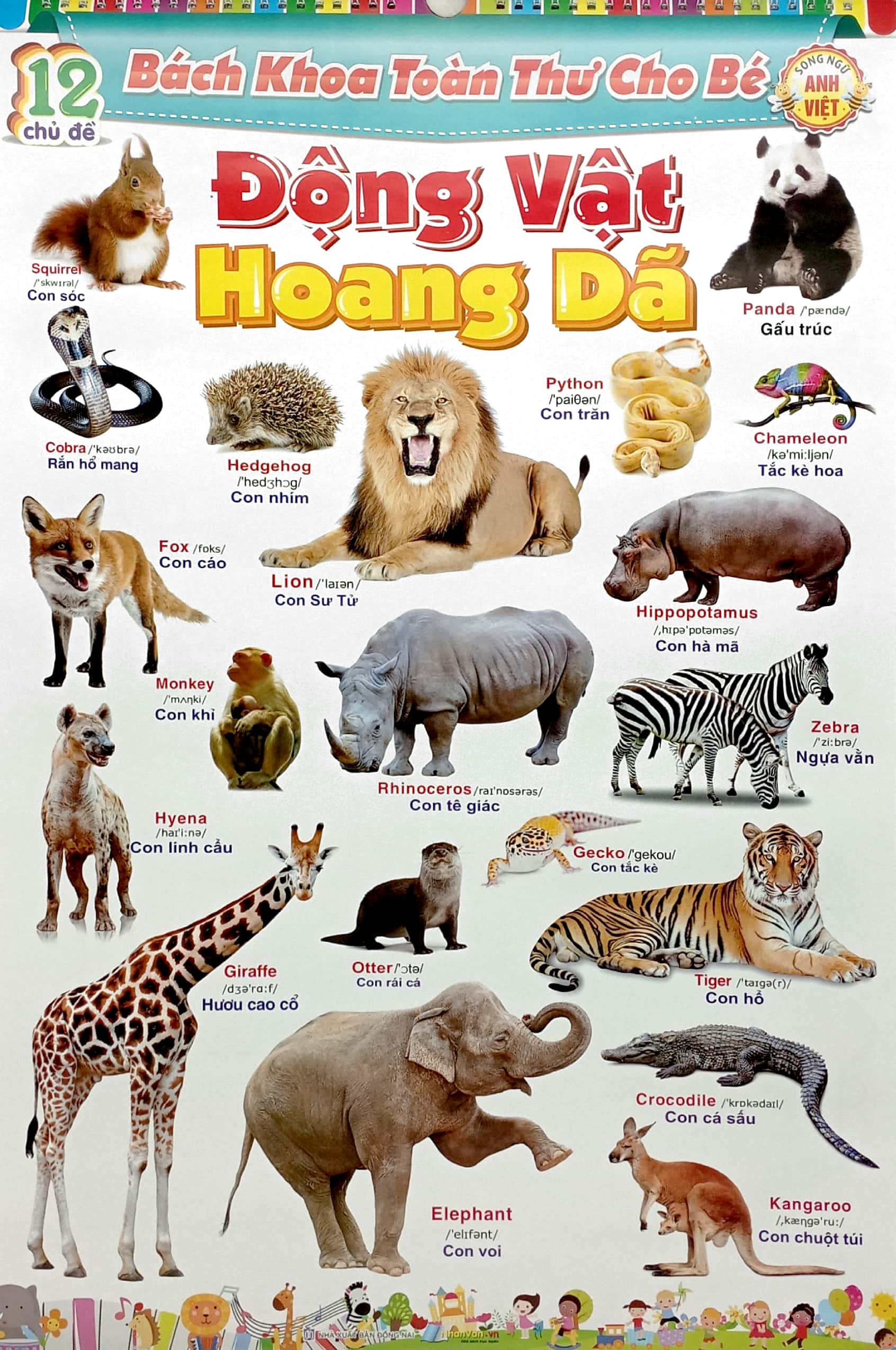 bộ 12 poster bách khoa toàn thư cho bé - song ngữ anh - việt (tái bản 2023) - Ảnh 4