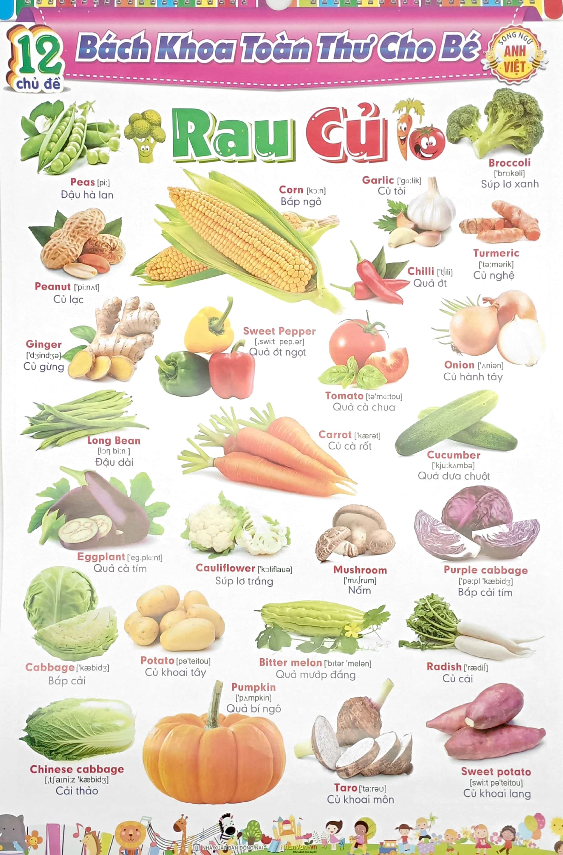 bộ 12 poster bách khoa toàn thư cho bé - song ngữ anh - việt (tái bản 2023) - Ảnh 6