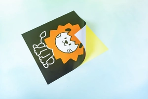 bộ 6 tranh decal kích thích thị giác - đen trắng và màu - Ảnh 5