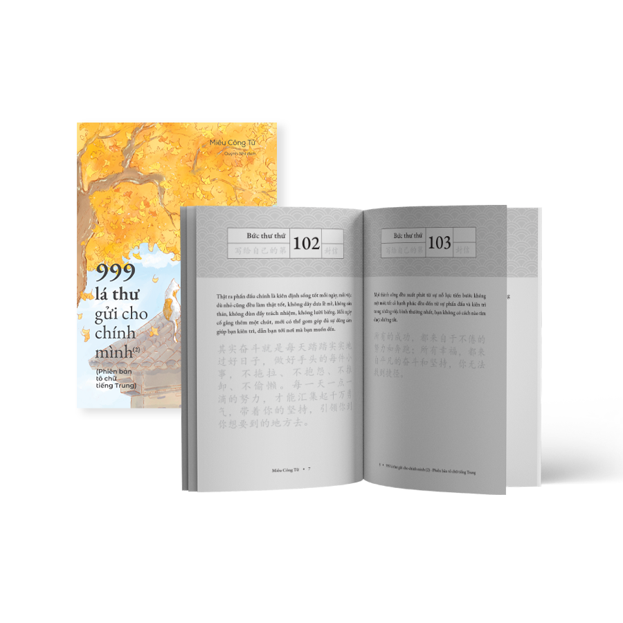 Bộ 999 Lá Thư Gửi Cho Chính Mình - Phiên Bản Tô Chữ Tiếng Trung - Phần 2 (Tái Bản 2025) - Ảnh 6