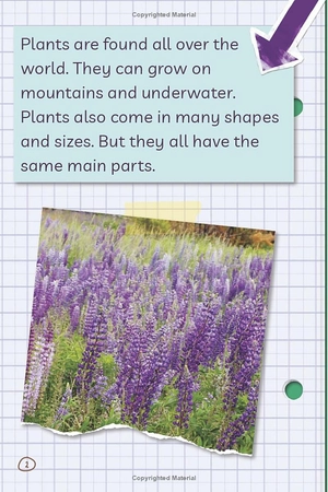 bộ ada twist, scientist: the why files #2: all about plants! - Ảnh 3