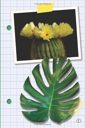 bộ ada twist, scientist: the why files #2: all about plants! - Ảnh 4