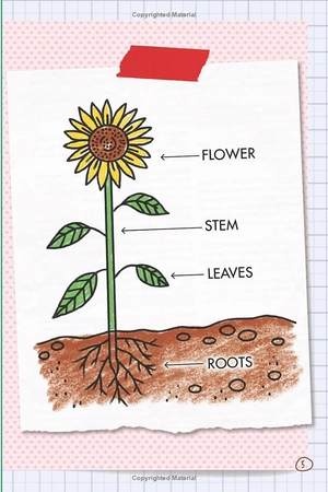 bộ ada twist, scientist: the why files #2: all about plants! - Ảnh 6