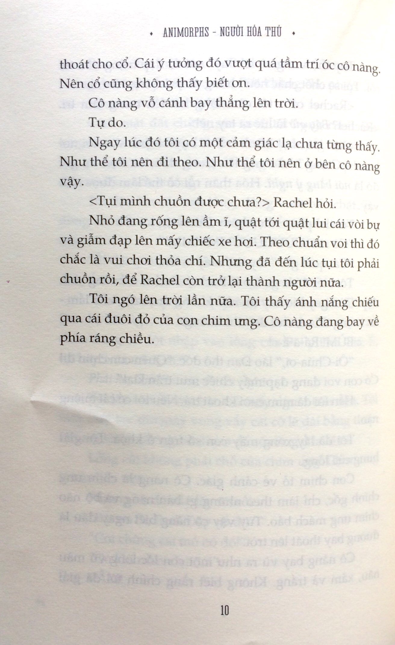 bộ animorphs người hóa thú 3 - cuộc đối đầu - Ảnh 7