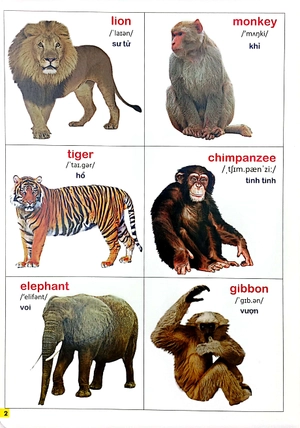 bộ bách khoa bằng hình đầu tiên cho bé 2 - chủ đề thế giới động vật - Ảnh 3