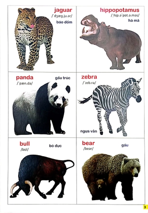 bộ bách khoa bằng hình đầu tiên cho bé 2 - chủ đề thế giới động vật - Ảnh 4