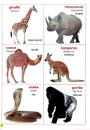 bộ bách khoa bằng hình đầu tiên cho bé 2 - chủ đề thế giới động vật - Ảnh 5