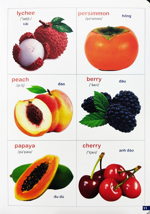 Bộ Bách Khoa Bằng Hình Đầu Tiên Cho Bé 3 - Chủ Đề Các Loài Hoa, Loại Củ, Rau Củ - Ảnh 3