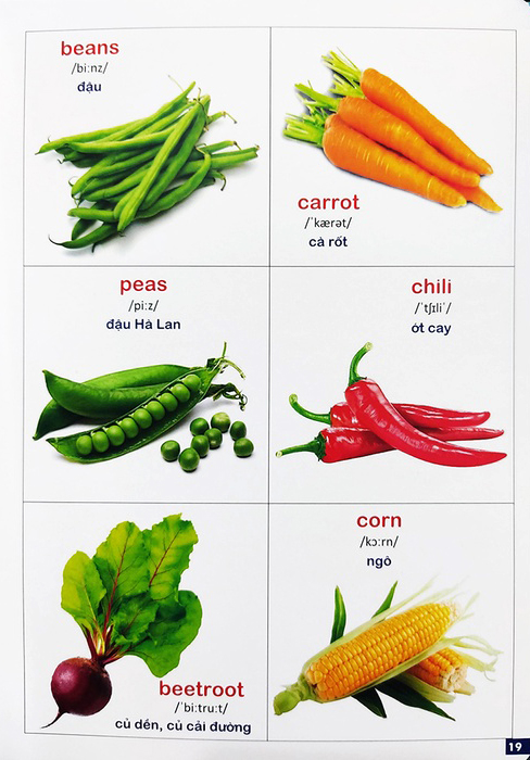 Bộ Bách Khoa Bằng Hình Đầu Tiên Cho Bé 3 - Chủ Đề Các Loài Hoa, Loại Củ, Rau Củ - Ảnh 4