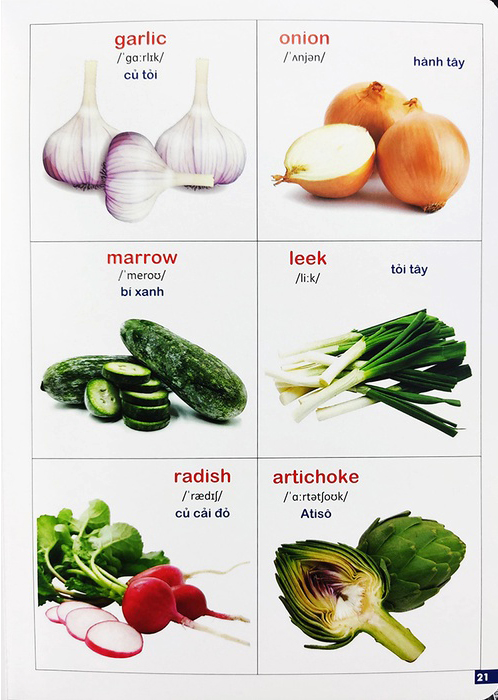 Bộ Bách Khoa Bằng Hình Đầu Tiên Cho Bé 3 - Chủ Đề Các Loài Hoa, Loại Củ, Rau Củ - Ảnh 8