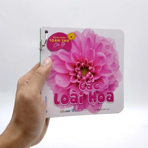 bộ bách khoa toàn thư cho bé - các loài hoa (bộ 5 cuốn) - Ảnh 10