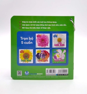bộ bách khoa toàn thư cho bé - các loài hoa (bộ 5 cuốn) - Ảnh 9