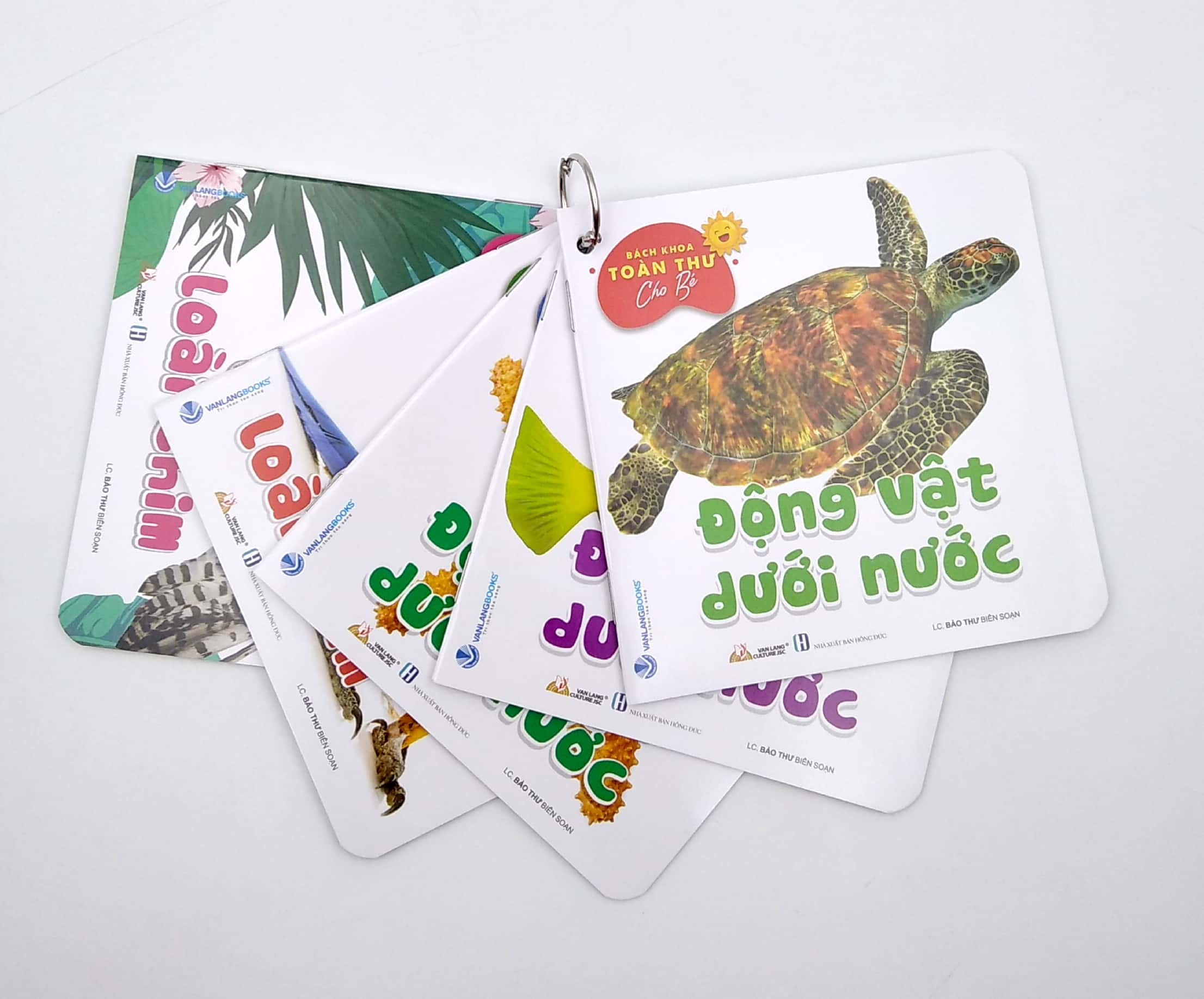 bộ bách khoa toàn thư cho bé - động vật dưới nước (bộ 5 cuốn) - Ảnh 2