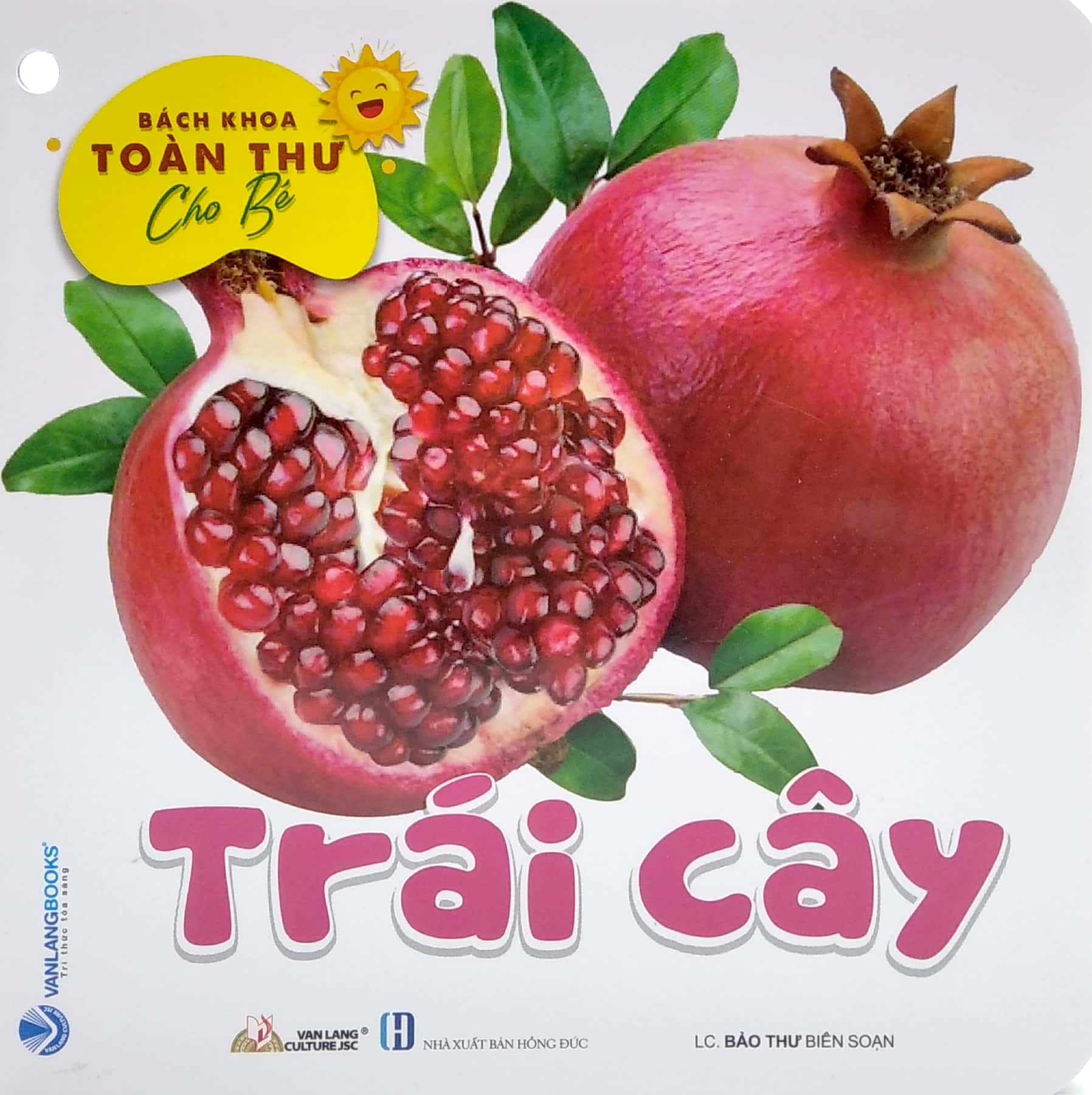 bộ bách khoa toàn thư cho bé - trái cây (bộ 5 cuốn) - Ảnh 4