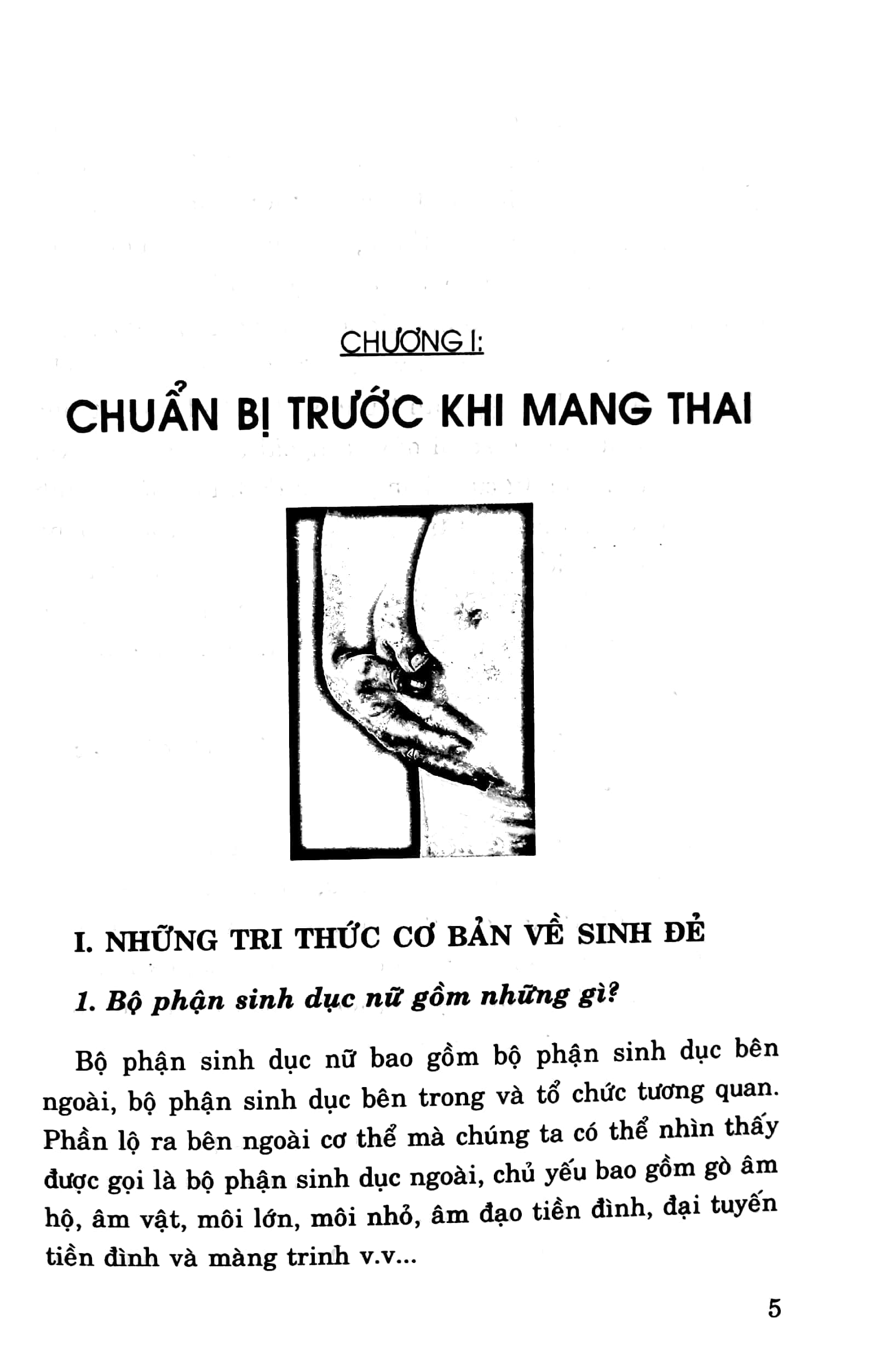 bộ bách khoa tri thức thai sản tập 1 - để sinh con khỏe mạnh & thông minh - Ảnh 3