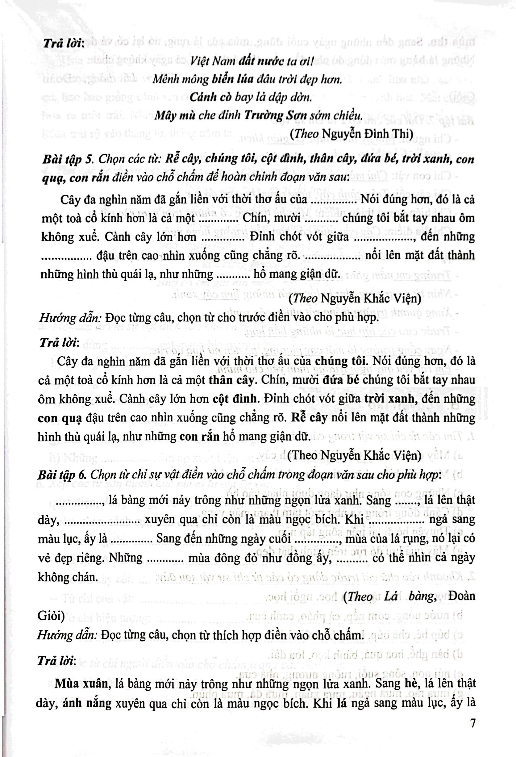 bộ bài tập phát triển năng lực học tiếng việt 3 - tập 1 - Ảnh 6