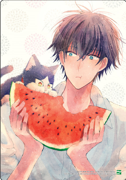 bộ bạn cùng nhà thi thoảng trèo lên đầu tôi - tập 5 - bản đặc biệt - tặng kèm card ppvc mèo nổ + extra paper + set 5 card ivory + khung ảnh đựng card - Ảnh 7