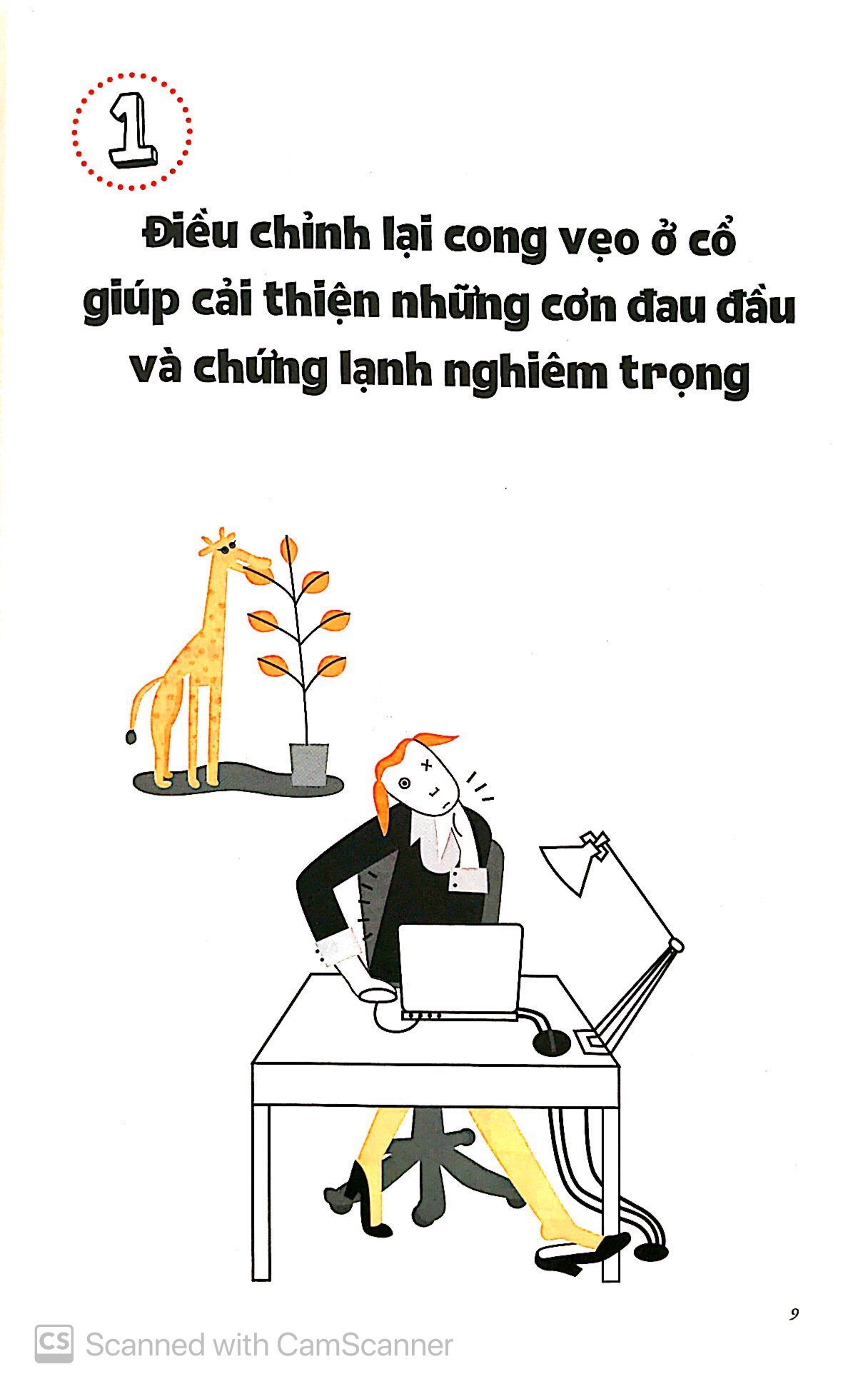 bộ bảo dưỡng khung xương chậu 3 - thổi bay mỏi vai nhức đầu - Ảnh 4