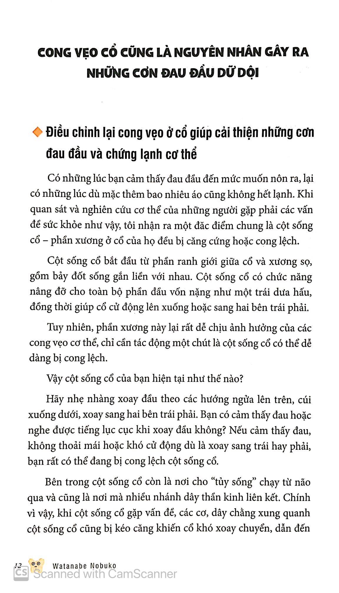 bộ bảo dưỡng khung xương chậu 3 - thổi bay mỏi vai nhức đầu - Ảnh 7