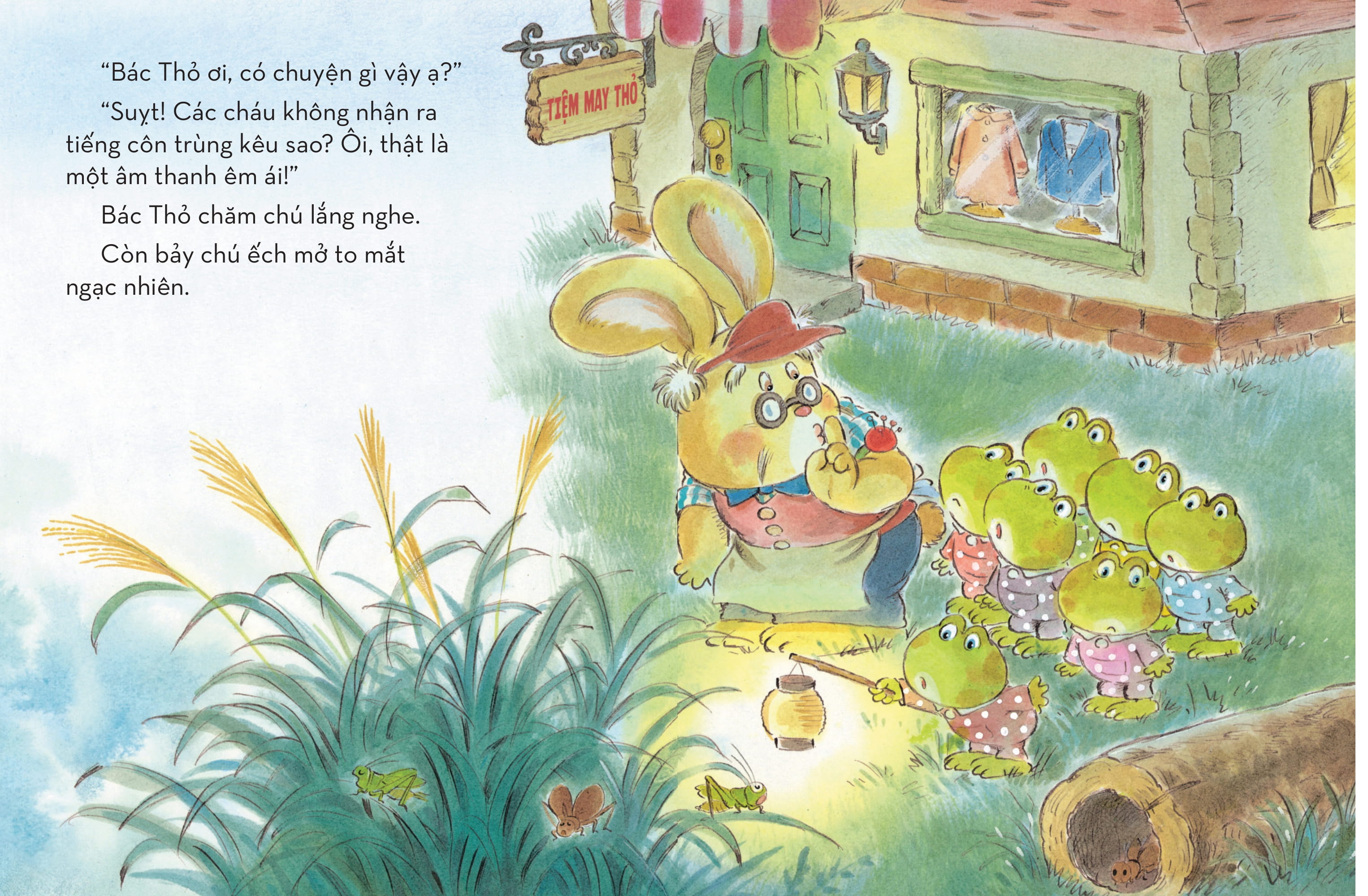 Bộ Bảy Chú Ếch Con - Tập 3 - Cất Cao Giọng Hát - Ảnh 4